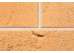 Клинкерная напольная плитка Sandstein (240x240x10)